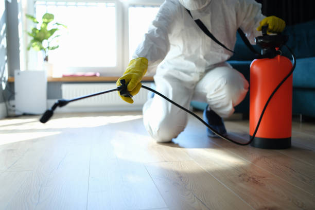Best Mosquito Control Services  in Byron, GA