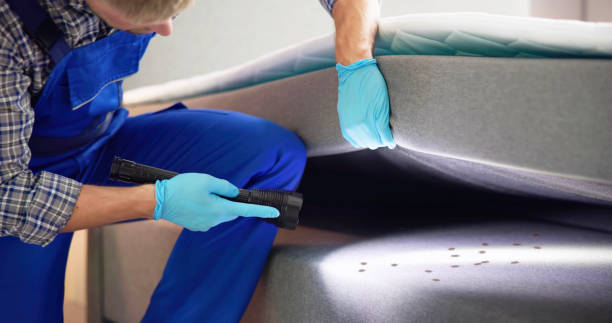 Best Pest Control for Homes  in Byron, GA