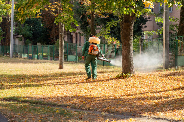 Best Pest Control Near Me  in Byron, GA