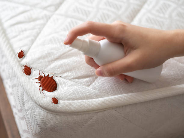 Best Flea Control Services  in Byron, GA