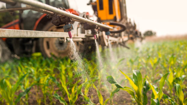 Best Ant Control Services  in Byron, GA
